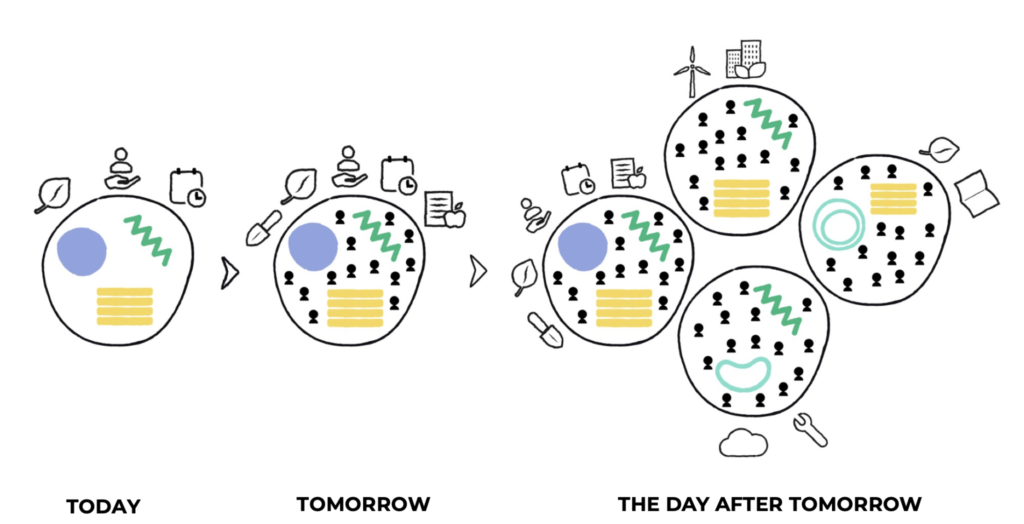 Urban Resilience Package. Stages of development of a development cooperative